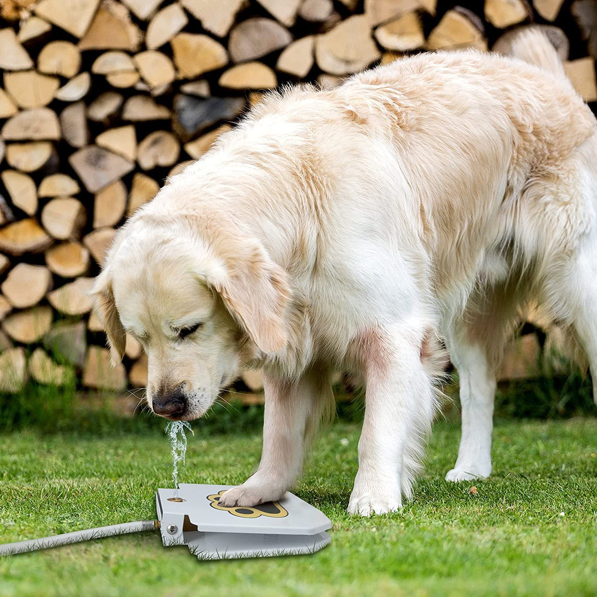 Waterfontein voor honden buiten, Step On, eenvoudige poot