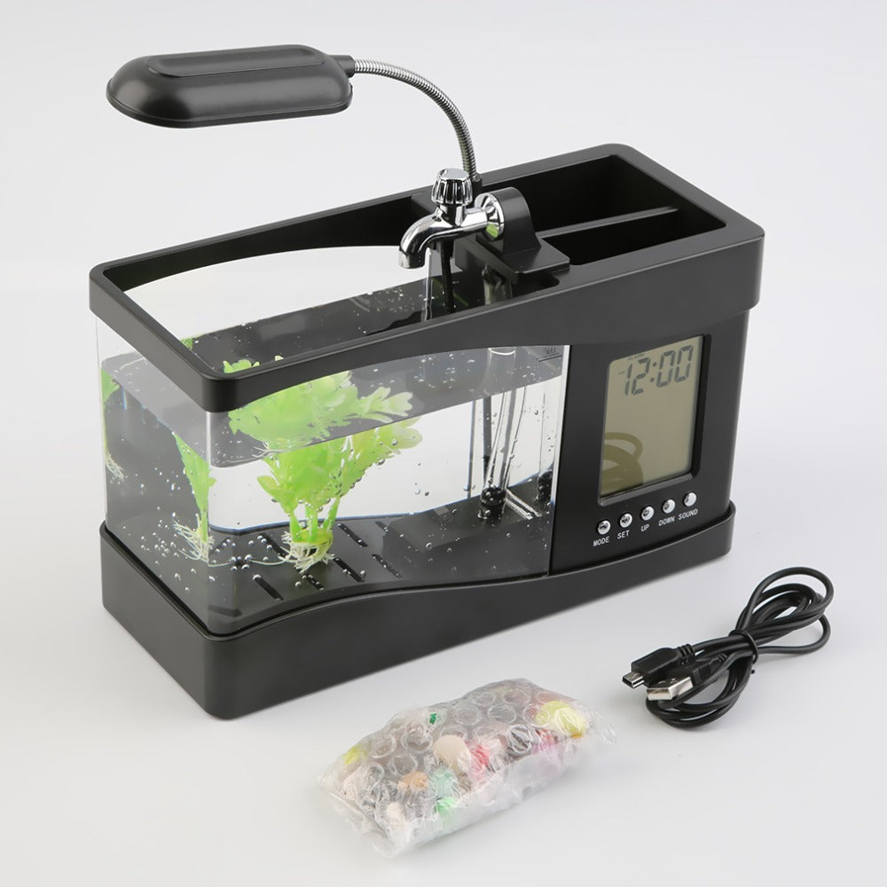 Desktop Aquarium | Desk Fish Tank