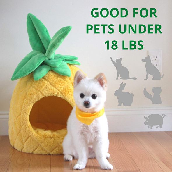 Pineapple Pet Bed for Cats - Raycoo