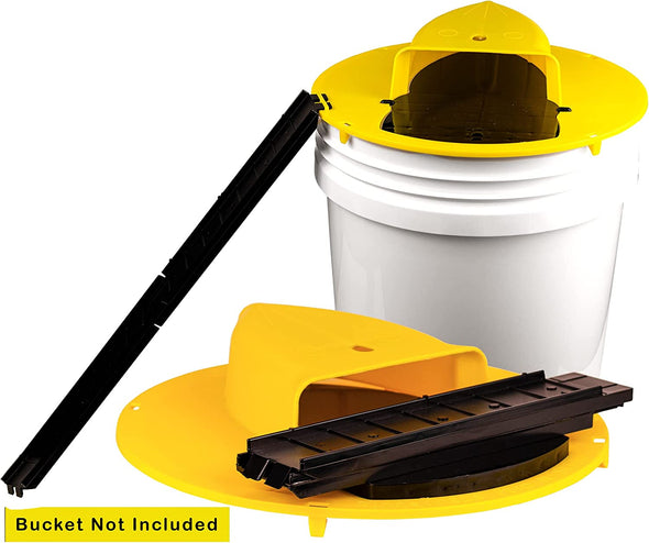 Humane Mouse Trap Bucket | Trap Door Style
