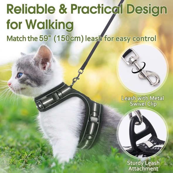 Cat Harness For Walking - Raycoo