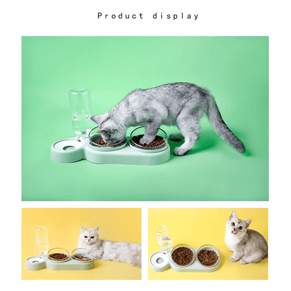 Elevated Cat Bowl - Raised Food & Watering Bowl - Raycoo