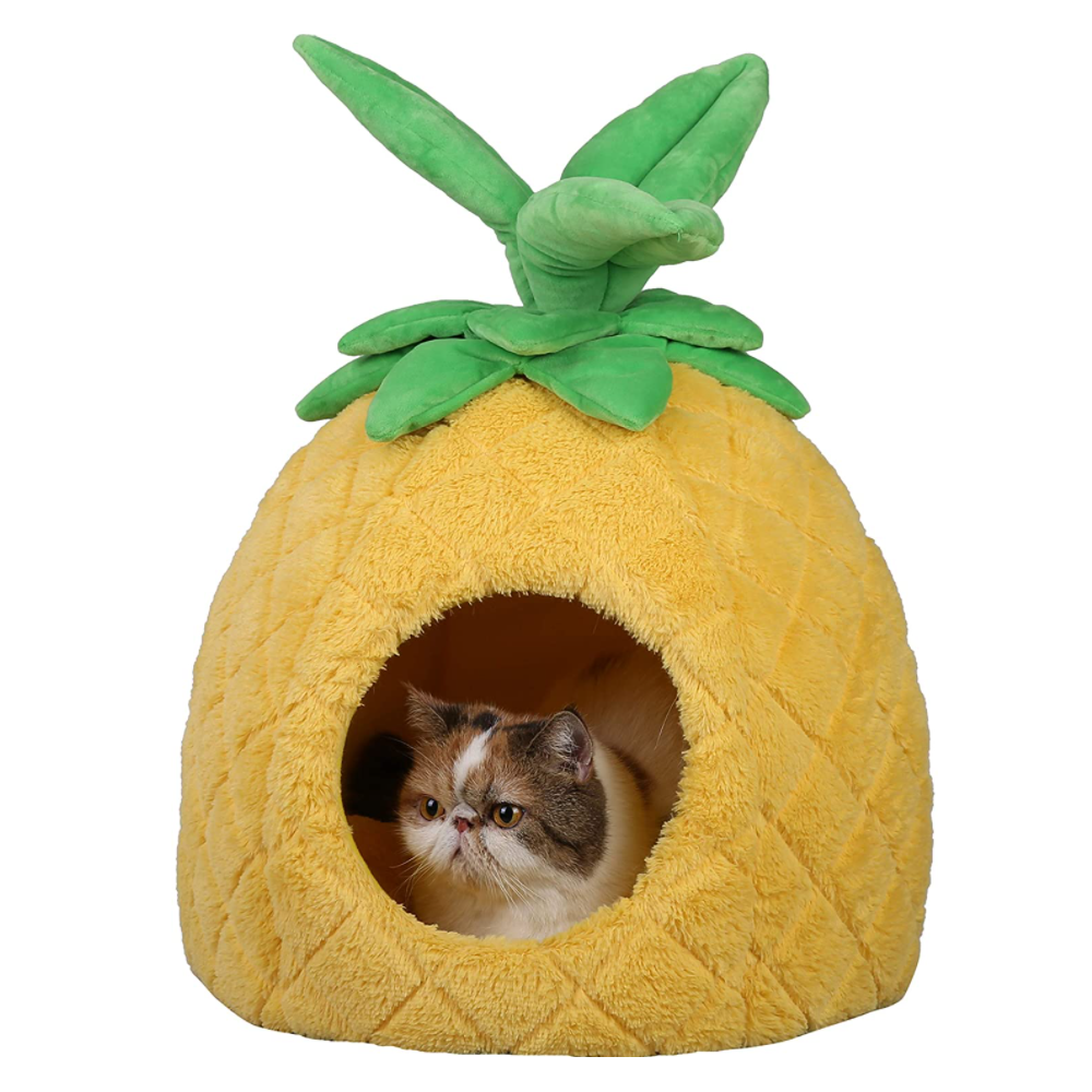 Pineapple cat deals house