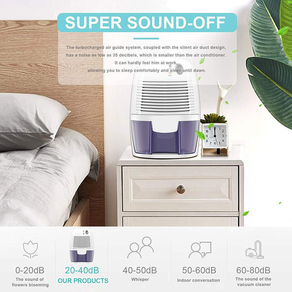 Small Mini Dehumidifier - Portable Bedroom & Basement Dehumidifier - Raycoo